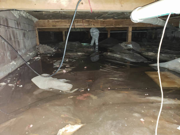  Galeville, NY Water damage restoration Pros